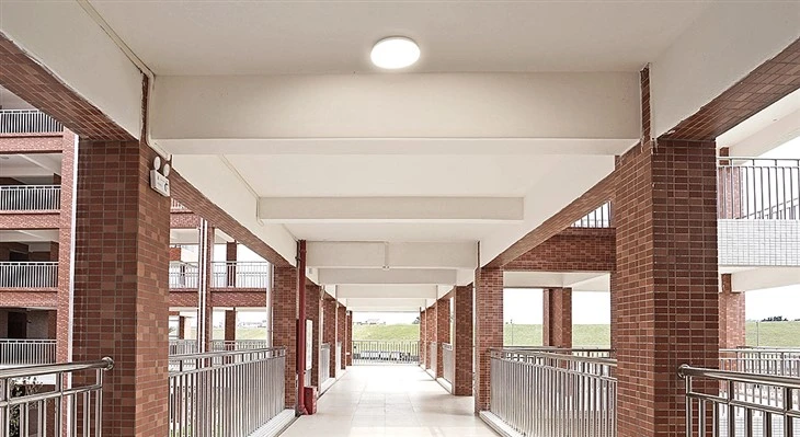 Dasco-Ceiling-5