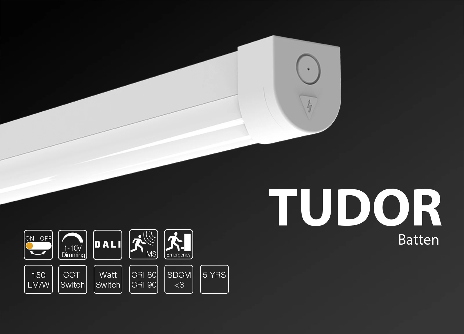 Tudor01 Tudor01